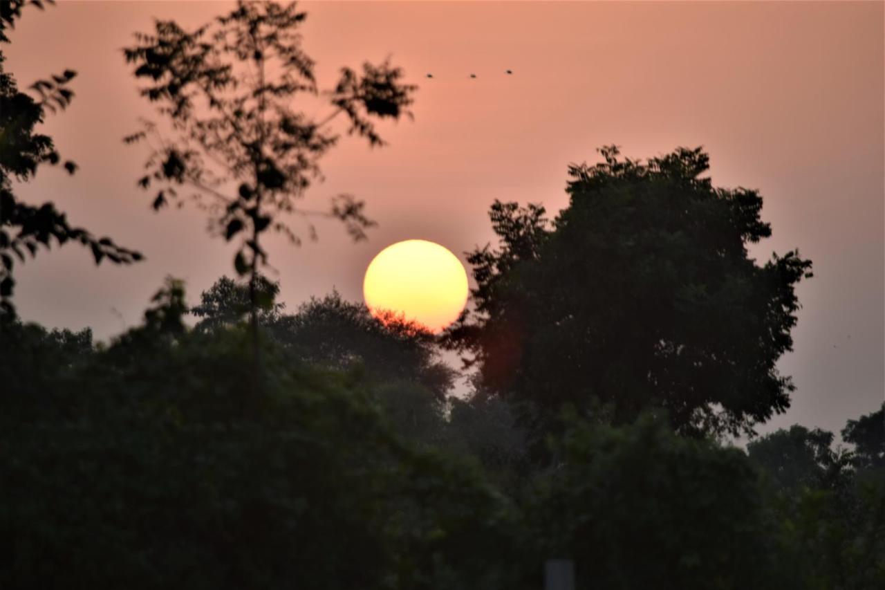 Ranthambhore Bagh Dwar Camp Khilchīpur Extérieur photo
