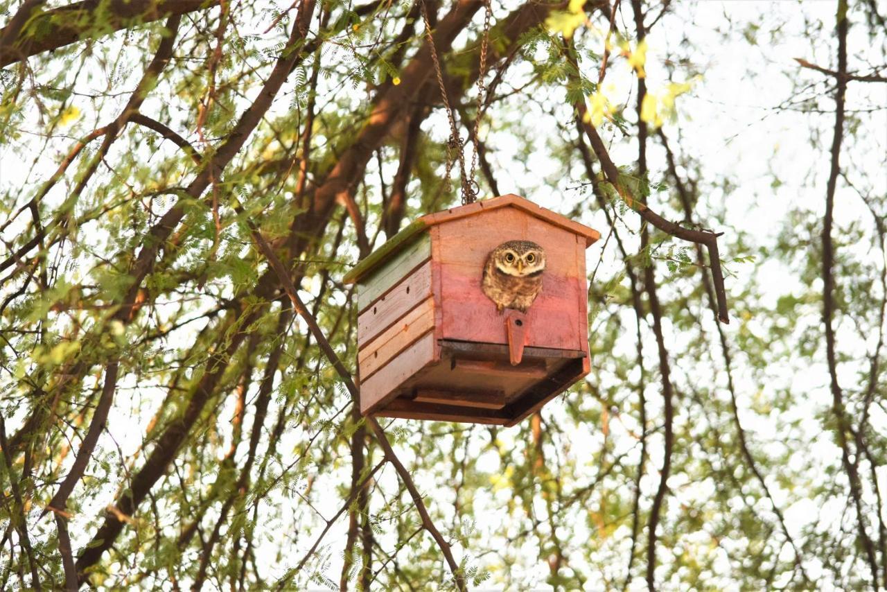 Ranthambhore Bagh Dwar Camp Khilchīpur Extérieur photo